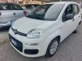 usato FIAT Panda