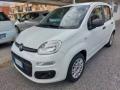 usato FIAT Panda