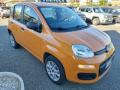 usato FIAT Panda