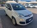 usato FIAT Panda