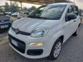 usato FIAT Panda