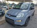 usato FIAT Panda