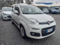 usato FIAT Panda