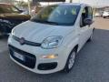 usato FIAT Panda