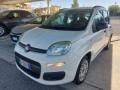 usato FIAT Panda