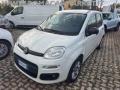 usato FIAT Panda
