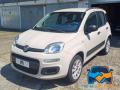 usato FIAT Panda