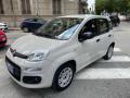 usato FIAT Panda