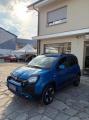 usato FIAT Panda