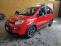 usato FIAT Panda