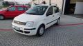 usato FIAT Panda