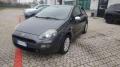 usato FIAT Punto