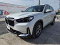 usato BMW X1