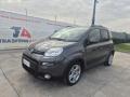 usato FIAT Panda