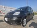 usato FIAT Panda