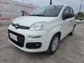 usato FIAT Panda
