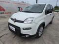 usato FIAT Panda