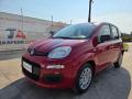 usato FIAT Panda