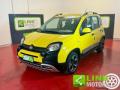 usato FIAT Panda Cross