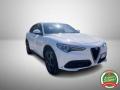 usato ALFA ROMEO Stelvio