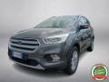 usato FORD Kuga