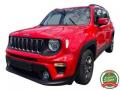 usato JEEP Renegade