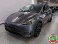 usato TESLA Model Y
