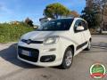 usato FIAT Panda