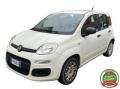 usato FIAT Panda