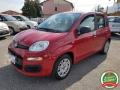 usato FIAT Panda