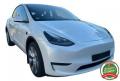 usato TESLA Model Y