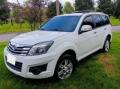 usato GREAT WALL Hover