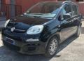 usato FIAT Panda