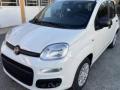 Km 0 FIAT Panda