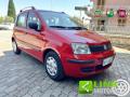 usato FIAT Panda