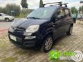 usato FIAT Panda