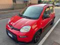 usato FIAT Panda