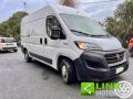 usato FIAT Ducato