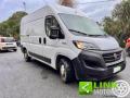 usato FIAT Ducato