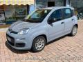 usato FIAT Panda
