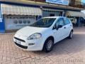 usato FIAT Punto