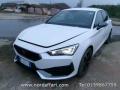 usato CUPRA Leon