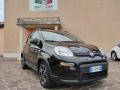 usato FIAT Panda