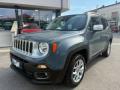 usato JEEP Renegade