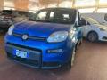 usato FIAT Panda