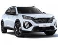 usato PEUGEOT 2008