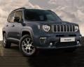 usato JEEP Renegade