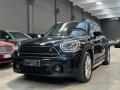 usato MINI Countryman