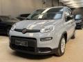 usato FIAT Panda