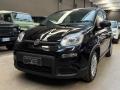 usato FIAT Panda